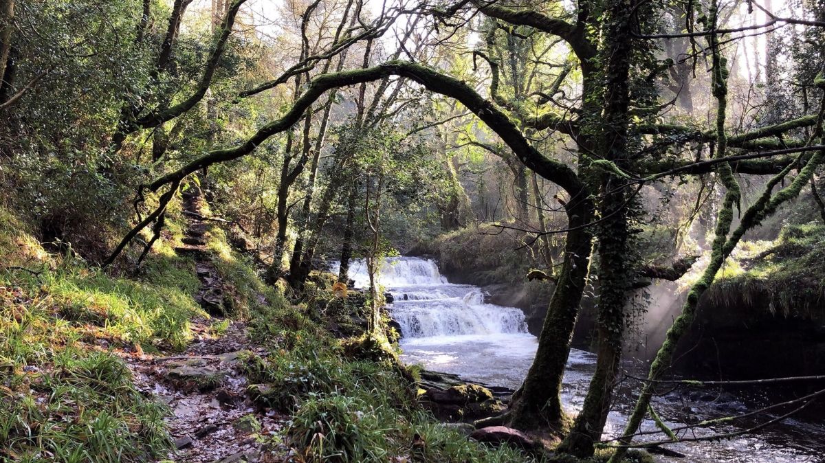 Clare Glens Walking Loop